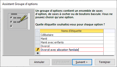 assistant groupe d'options1