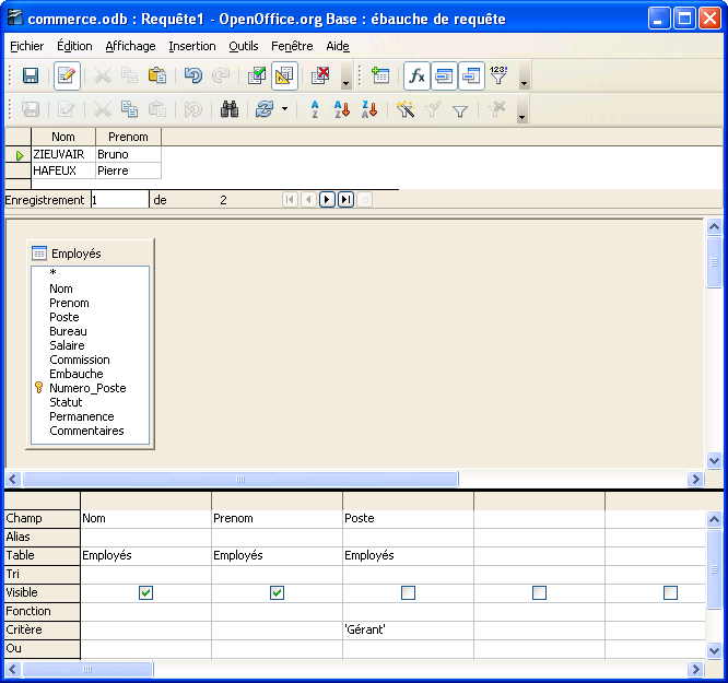 fenêtre résultat de la requête 1