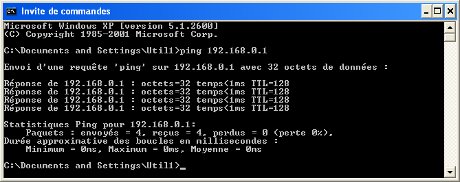 commande ping